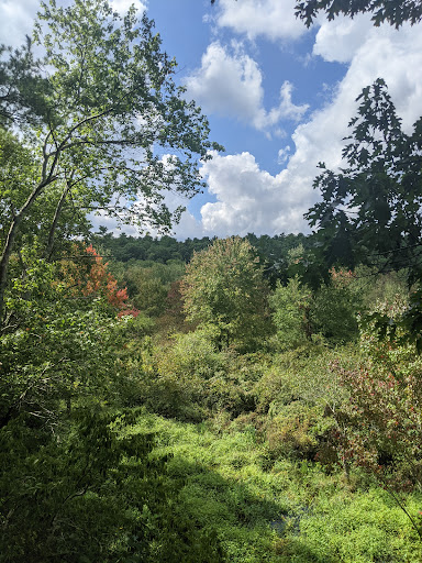 Nature Preserve «Wildlands Trust - Willow Brook Farm Preserve», reviews and photos, 99 Barker St, Pembroke, MA 02359, USA