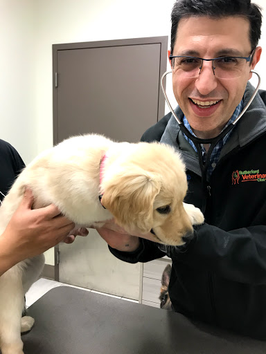 Rutherford Veterinary Clinic image