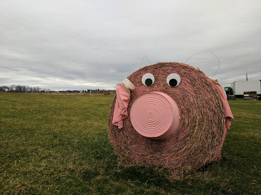 Produce Market «Solly Brothers», reviews and photos, 707 Almshouse Rd, Warminster, PA 18974, USA