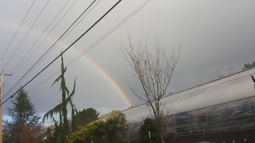 Park «Machias Trailhead Park», reviews and photos, 1626 Virginia St, Snohomish, WA 98290, USA