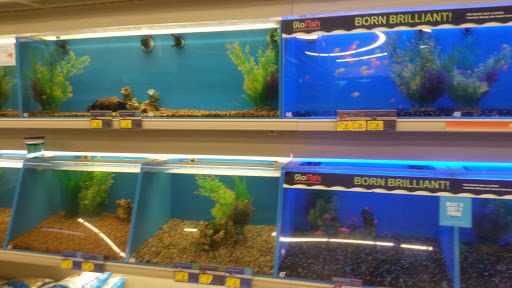 Pet Supply Store «PetSmart», reviews and photos, 5 Mystic View Rd, Everett, MA 02149, USA