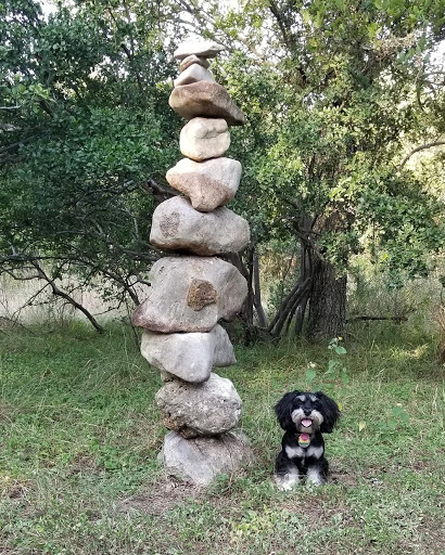 Tattoo Shop «Custom Ink Tattoo», reviews and photos, 6646 San Pedro Ave, San Antonio, TX 78216, USA