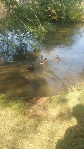 Park «Hillendale Park», reviews and photos, 19260 Clairmont Way, Oregon City, OR 97045, USA