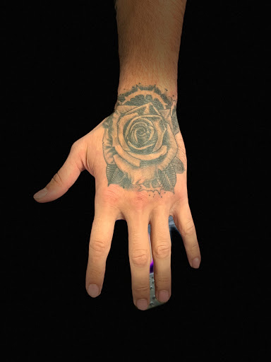 Explore crane tattoo ideas, creative tattoo ideas in Bridgeport, available at Breaking skin tattoo and body piercing