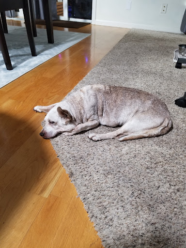 159 Lancaster Dr NE, Salem, OR 97301, USA