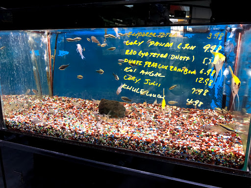 Aquarium Shop «Oranda aquarium», reviews and photos, 302 N La Brea Ave, Los Angeles, CA 90036, USA