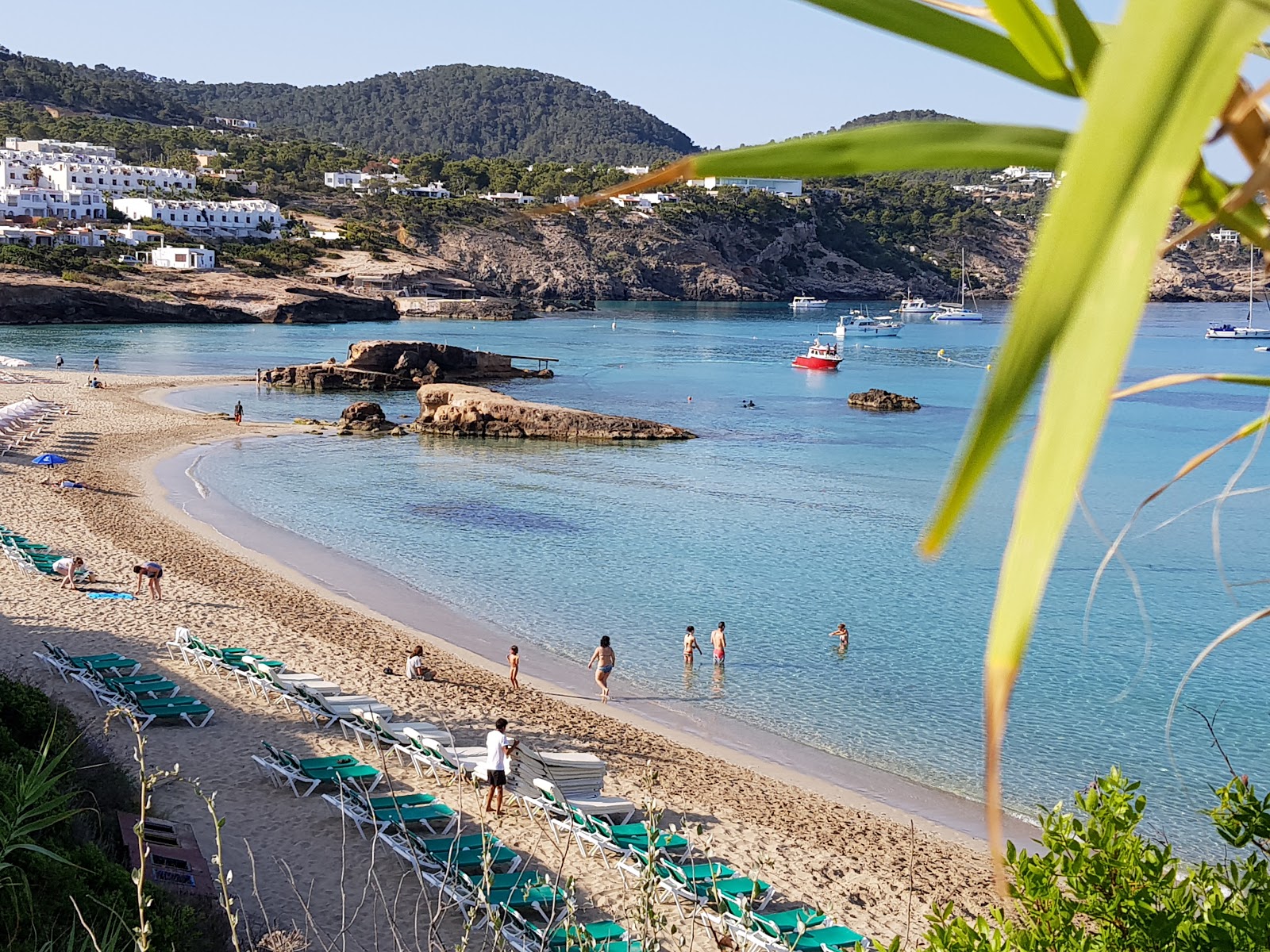 Cala Tarida'in fotoğrafı - Çocuklu aile gezginleri için önerilir