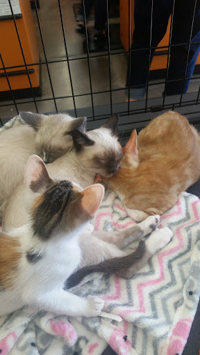 Pet Supply Store «Pet Food Express», reviews and photos, 3160 20th Ave, San Francisco, CA 94132, USA