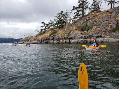 Kayak Salt Spring - personalized, private kayak tours with an emphasis on teaching natural history