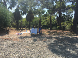 Sarıdana Bay II'in fotoğrafı çok temiz temizlik seviyesi ile