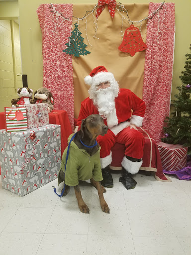 Pet Supply Store «PetSmart», reviews and photos, 430 NW Eastman Pkwy, Gresham, OR 97030, USA