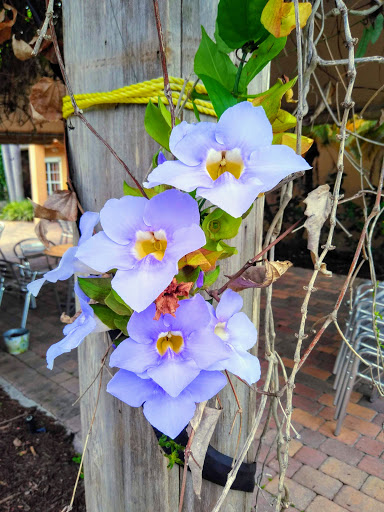 Golf Club «The Champion Turf Club at St. James», reviews and photos, 7900 Selvitz Rd, Port St Lucie, FL 34983, USA