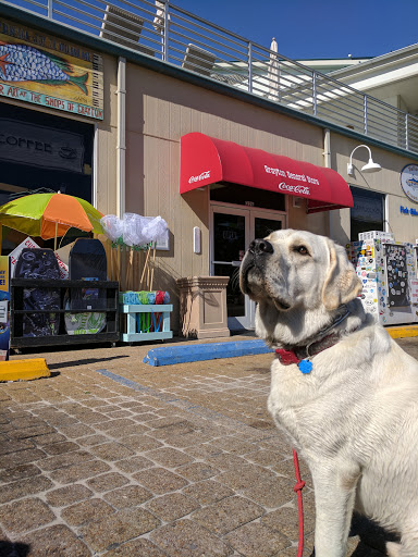 Grocery Store «Grayton General Store», reviews and photos, 32 E Co Hwy 30A # A, Santa Rosa Beach, FL 32459, USA