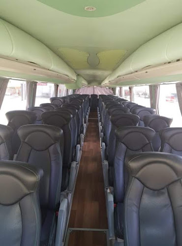 Real Bus - Transportes Públicos de Passageiros , Lda - Serviço de transporte