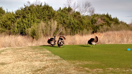 Golf Course «Cowan Creek Golf Club», reviews and photos, 1433 Cool Spring Way, Georgetown, TX 78633, USA