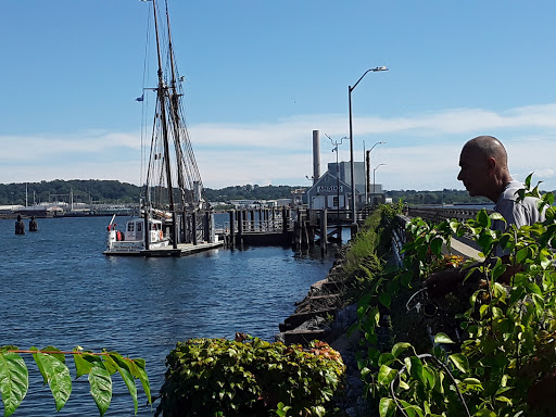 Auto Parts Store «NAPA Auto Parts - Genuine Parts Company», reviews and photos, 1260 Newfield St, Middletown, CT 06457, USA