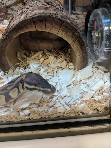 Pet Supply Store «PetSmart», reviews and photos, 1013 W University Ave, Georgetown, TX 78628, USA