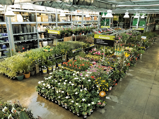 The Home Depot image