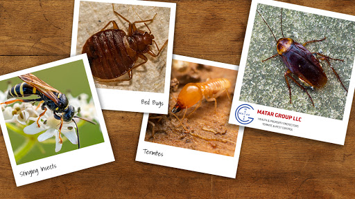 Matar Termite & Pest Control