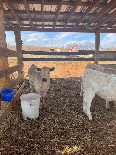Produce Market «Richards Fruit Market», reviews and photos, 6410 Middle Rd, Middletown, VA 22645, USA