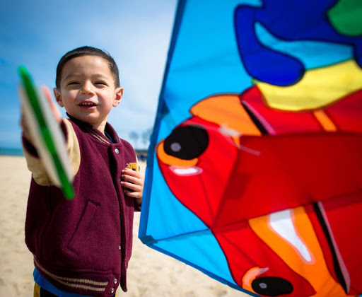 Toy Store «Building Blocks Toy Store», reviews and photos, 2130 W Division St, Chicago, IL 60622, USA