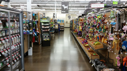 Pet Supply Store «Pet Supplies Plus», reviews and photos, 9500 Dorchester Rd #350, Summerville, SC 29485, USA