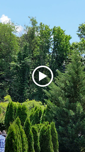 Wedding Service «Gran Centurions», reviews and photos, 440 Madison Hill Rd, Clark, NJ 07066, USA