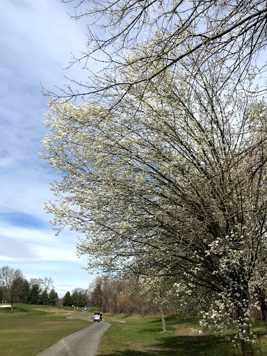 Golf Course «Maple Moor Golf Course», reviews and photos, 1128 North St, White Plains, NY 10605, USA