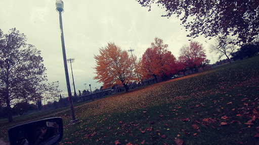 Golf Course «Spencer T Olin Golf Course», reviews and photos, 4701 College Ave, Alton, IL 62002, USA