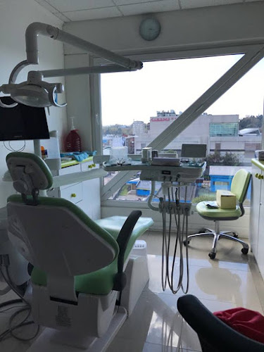 Dentista Dra Paz Cea G. - Osorno