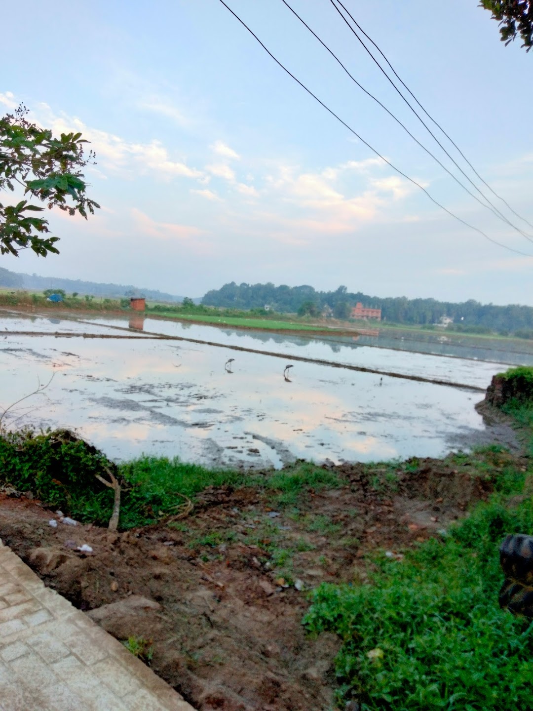 ലീല നിവാസ്