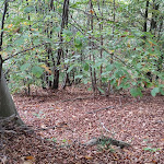 Photo n°3 de l'avis de Antonio.i fait le 06/11/2022 à 06:26 sur le  Meschie à Peveragno