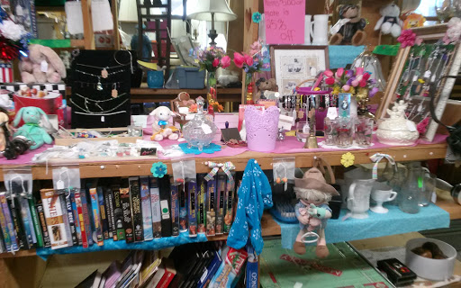 Flea Market «The Douglas Flea Market», reviews and photos, 436 NE Main St, Douglas, MA 01516, USA