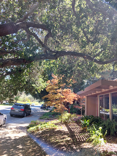 100 Moffett Apartments image