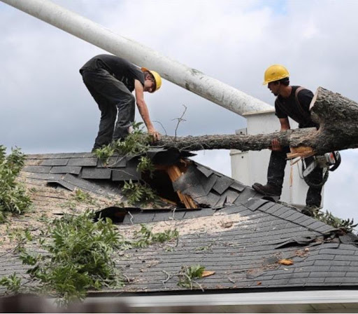 Eastside Roof Cleaning in Woodinville, Washington