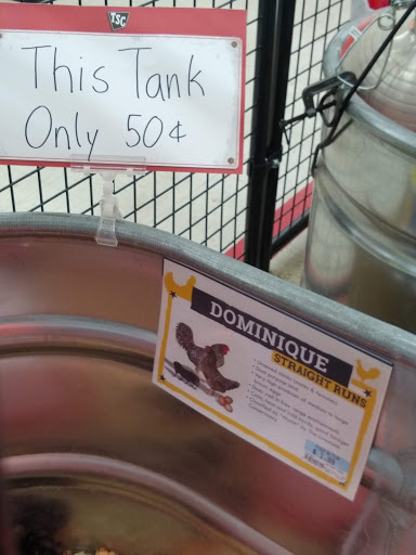 Home Improvement Store «Tractor Supply Co.», reviews and photos, 1150 Carlisle St #12, Hanover, PA 17331, USA