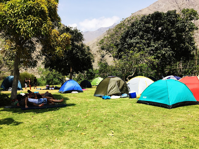 Opiniones de La Luciérnaga Camping Lunahuaná en Ferreñafe - Camping