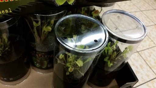 Supermarket «ALDI», reviews and photos, 801 Interstate Dr, Champaign, IL 61822, USA