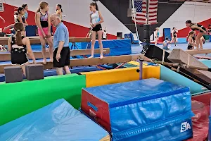 Extreme Gymnastics image
