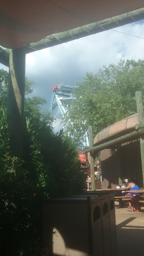 Roller Coaster «Griffon», reviews and photos, 1 Busch Gardens Blvd, Williamsburg, VA 23185, USA