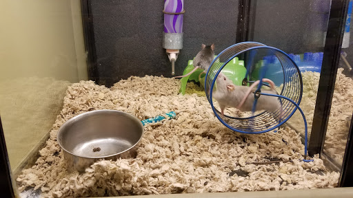 Pet Supply Store «PetSmart», reviews and photos, 401 S Mt Juliet Rd #645, Mt Juliet, TN 37122, USA