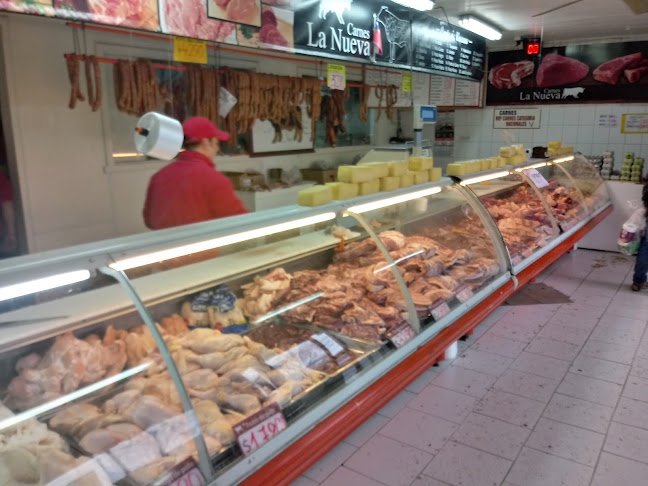 Opiniones de Carnes La Nueva en Panguipulli - Carnicería