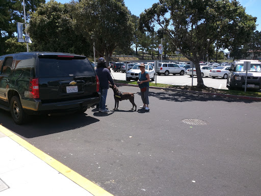 Pet Supply Store «Pet Food Express», reviews and photos, 3160 20th Ave, San Francisco, CA 94132, USA