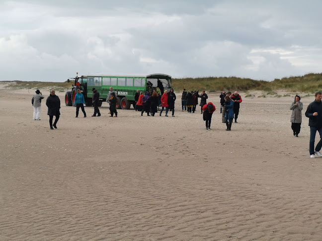 Naturbussen Ho - Abfahrt Nach Langli