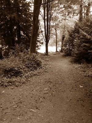 Pioneer Park - photo 17