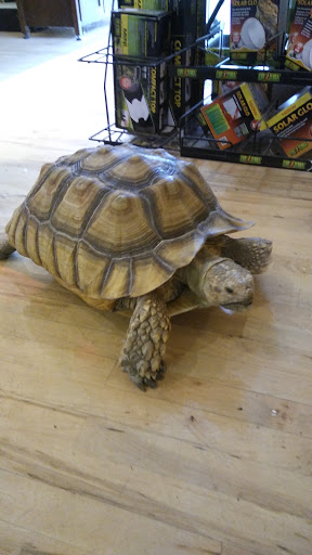 Pet Store «Critter Cabana», reviews and photos, 516 E 1st St, Newberg, OR 97132, USA