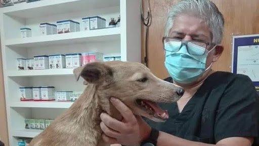 Veterinaria Mundo Canino