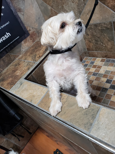 Pet Supply Store «Pet Valu», reviews and photos, 411 Valley Brook Ave, Lyndhurst, NJ 07071, USA