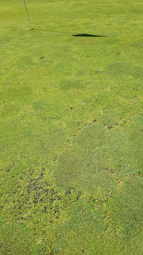 Golf Resort «Lakeview Hills Golf Resort», reviews and photos, 6560 Peck Rd, Lexington, MI 48450, USA