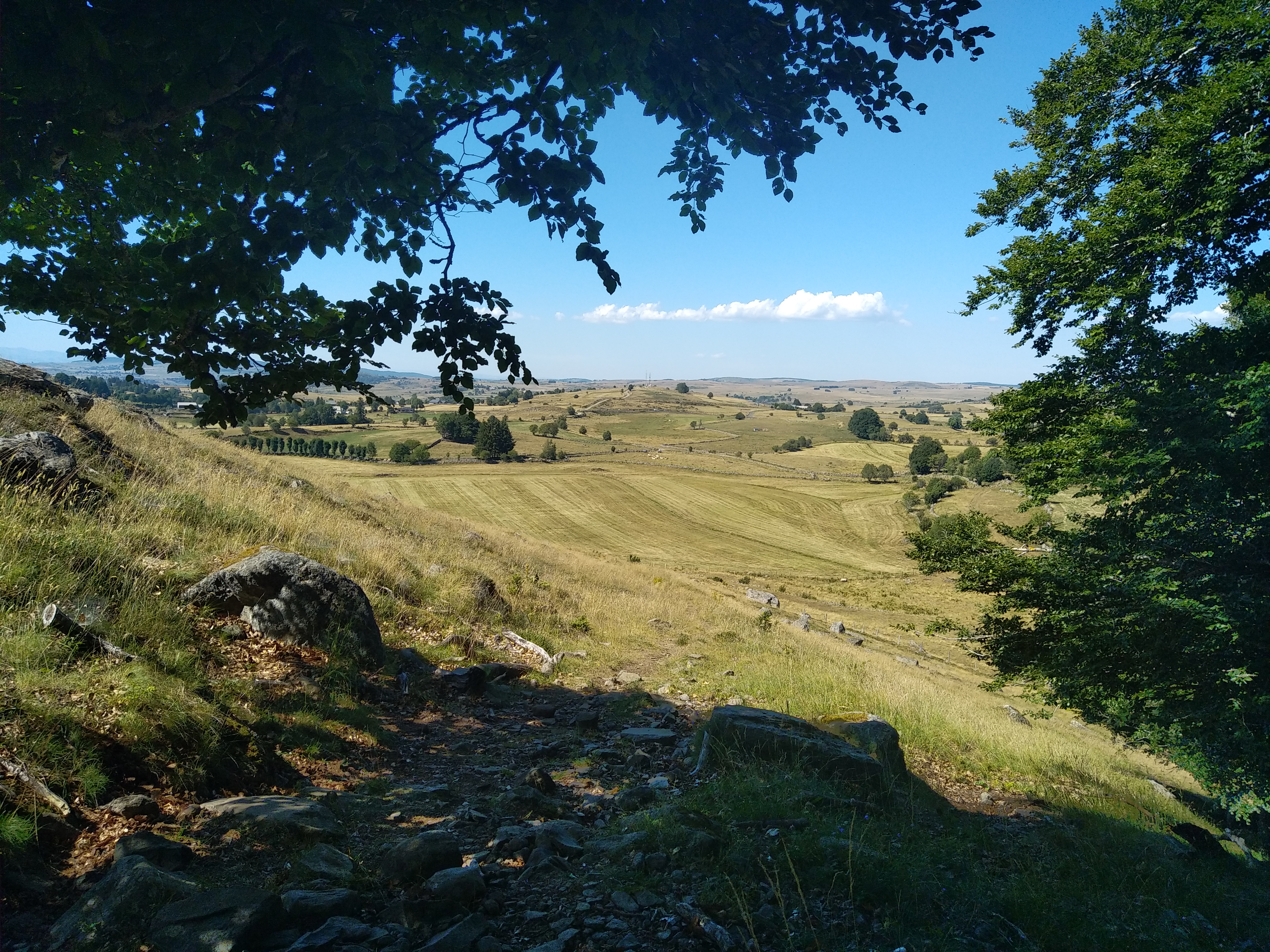Photo n° 25 de l'avis de Julien.a fait le 14/07/2022 à 19:44